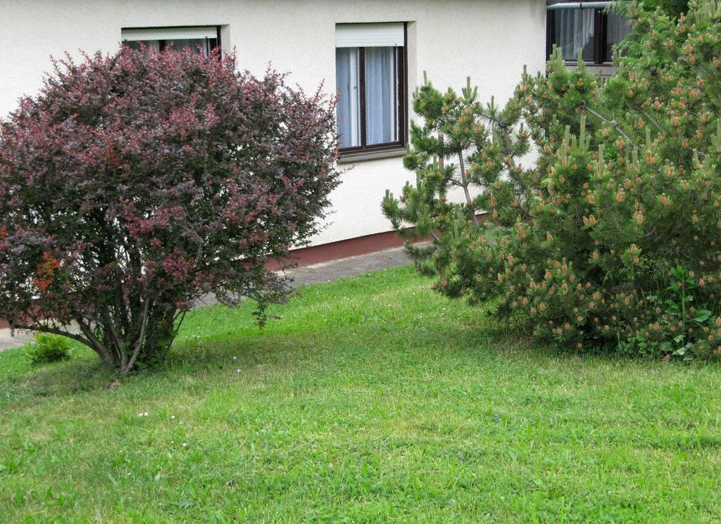 Budai Garden House Heviz Room photo